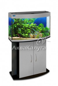 Обновлены цены на аквариумы Биодизайн